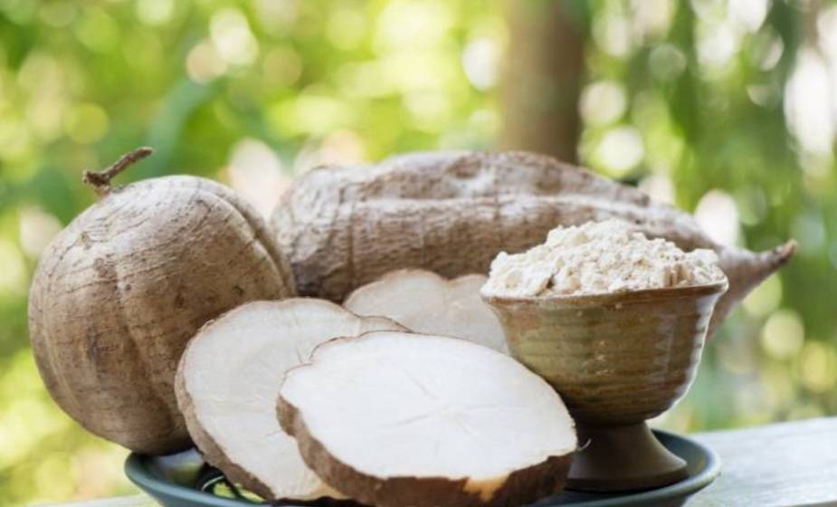 Pueraria mirifica ou kwao kreu kao